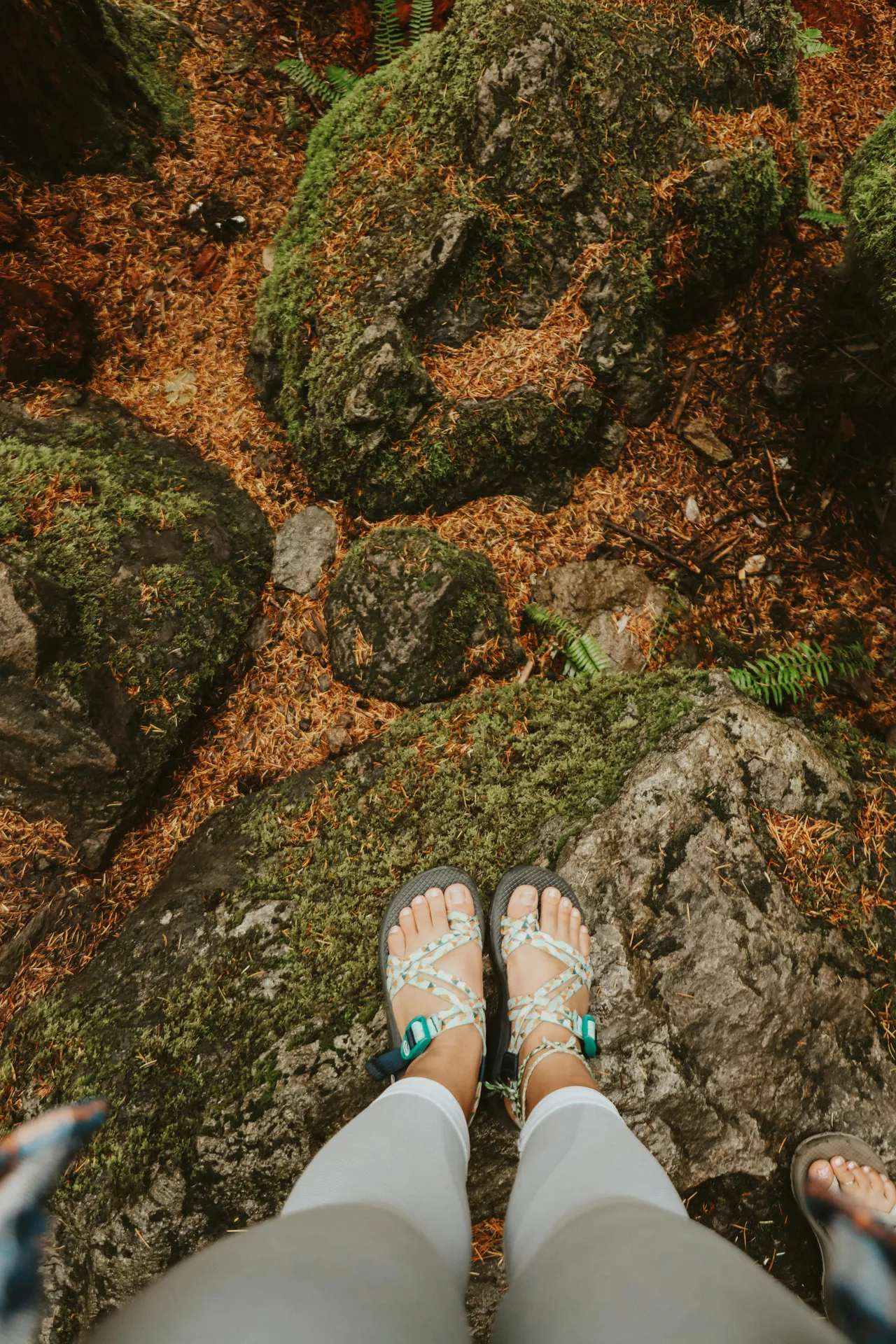 Feet on rock in forest