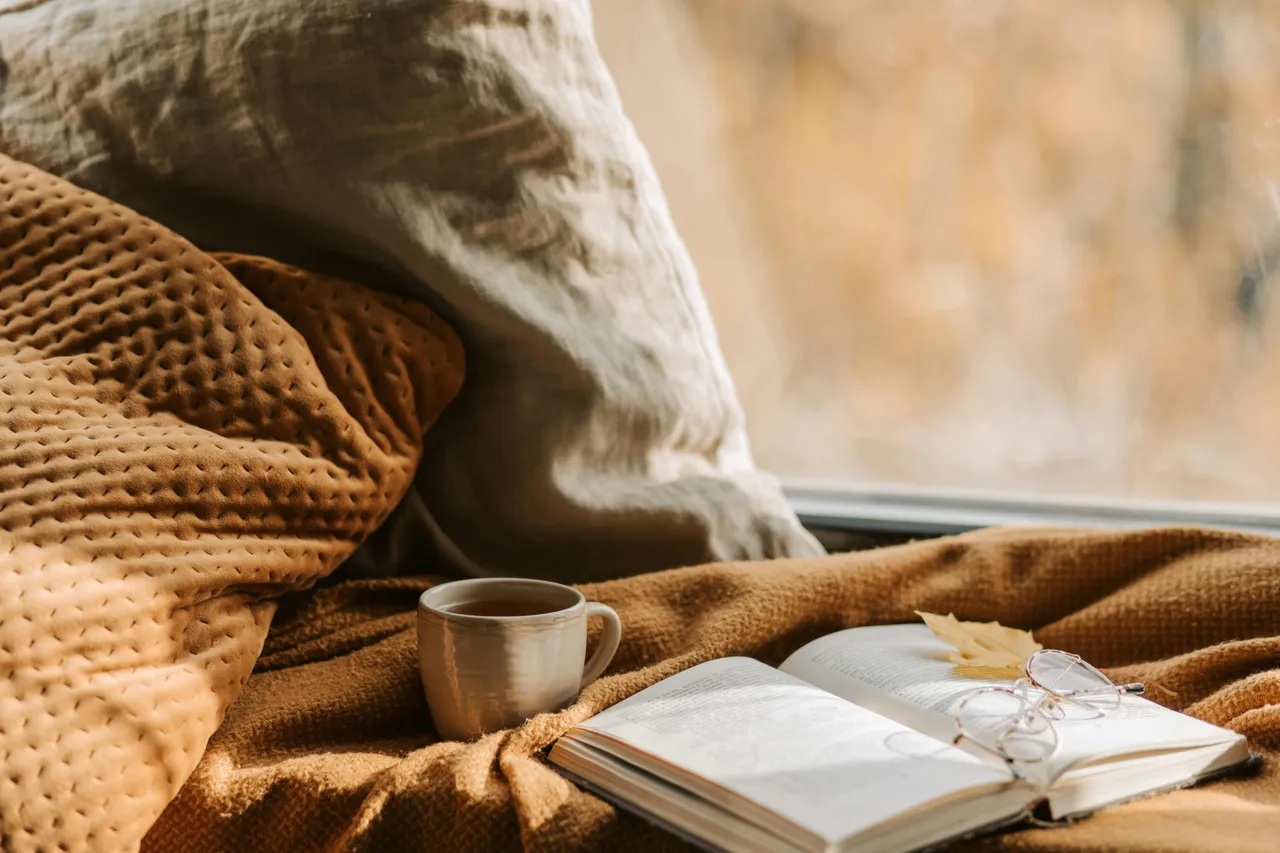 Pillows, tea and a book